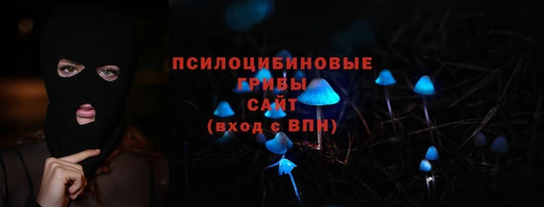 PSILOCYBIN Бородино