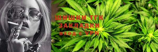 PSILOCYBIN Бородино