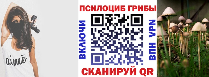 Галлюциногенные грибы мухоморы  Купить где  Будённовск 